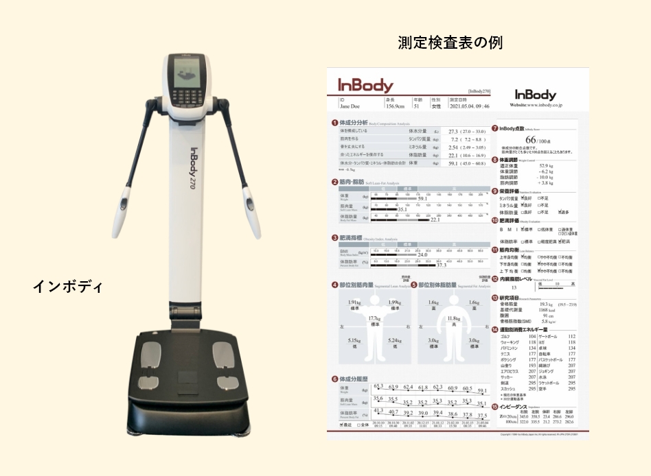 体成分分析装置「インボディ」と測定検査表例